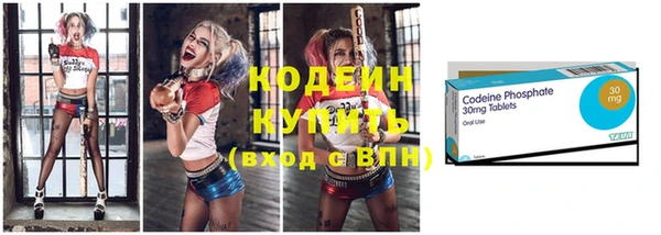 индика Козловка