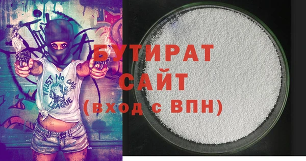индика Козельск