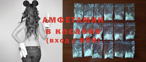 индика Козельск