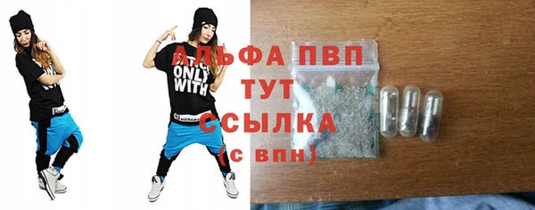 индика Козельск