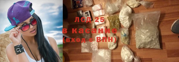 индика Козельск