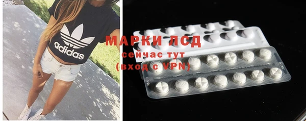 индика Козельск