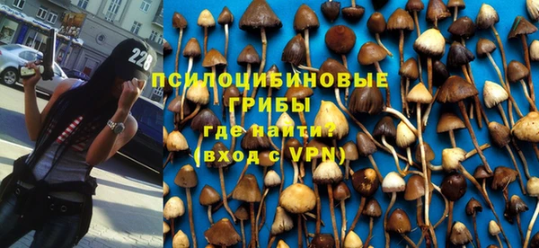 индика Козловка