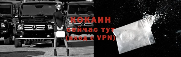 индика Козельск