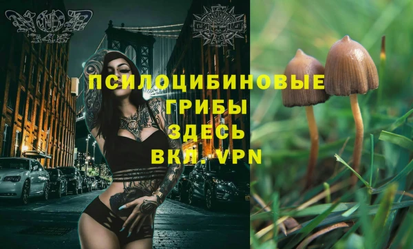 индика Козельск