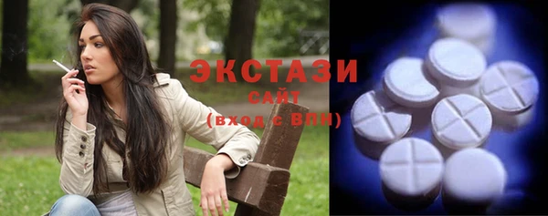 индика Козловка