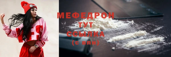 индика Козловка
