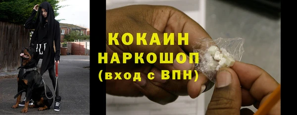 индика Козловка