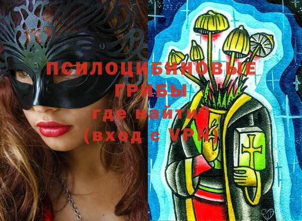 индика Козельск