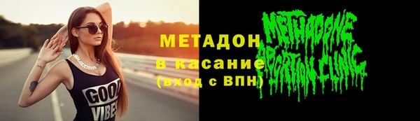 индика Козловка