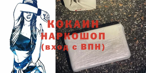 индика Козловка
