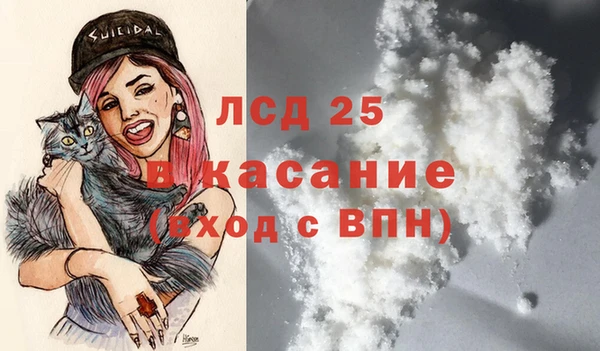 индика Козловка