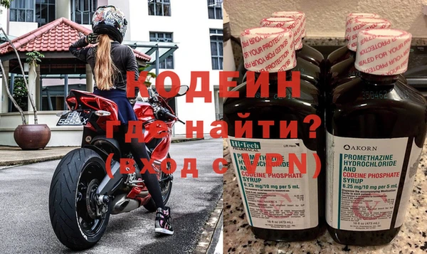 индика Козловка