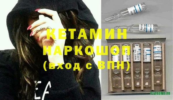 индика Козельск