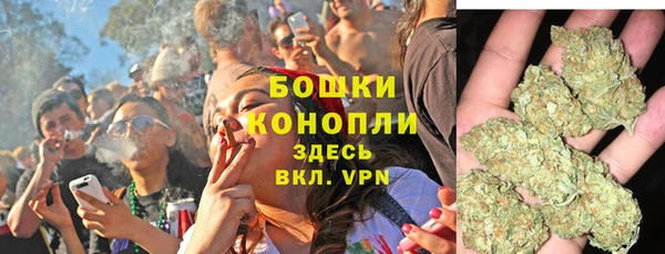 индика Козловка