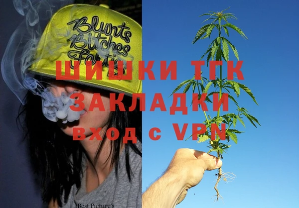 индика Козловка