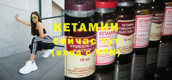 индика Козельск