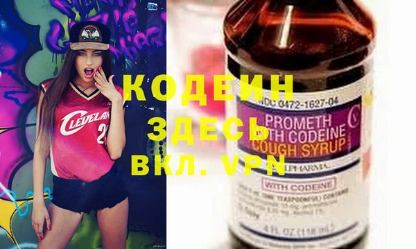 индика Козловка
