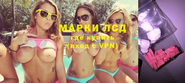 индика Козельск