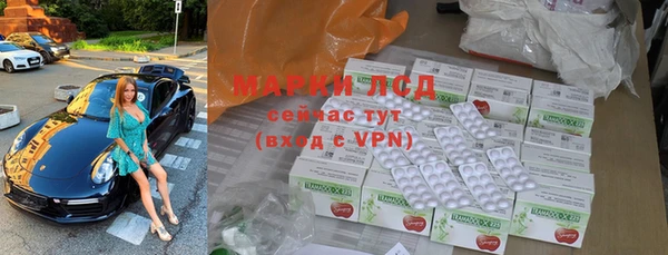 индика Козловка