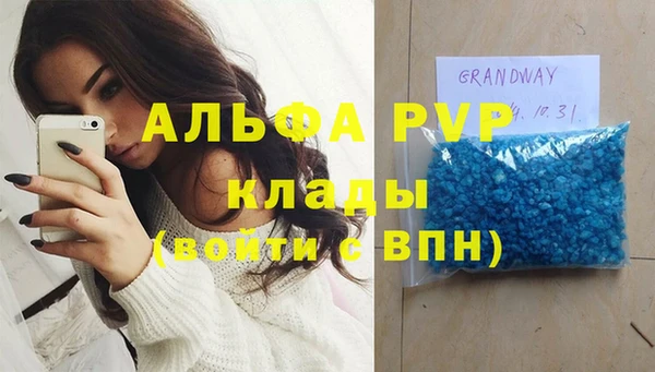 индика Козловка