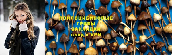 индика Козельск