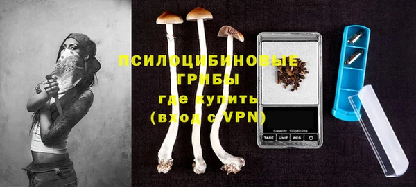 индика Козельск