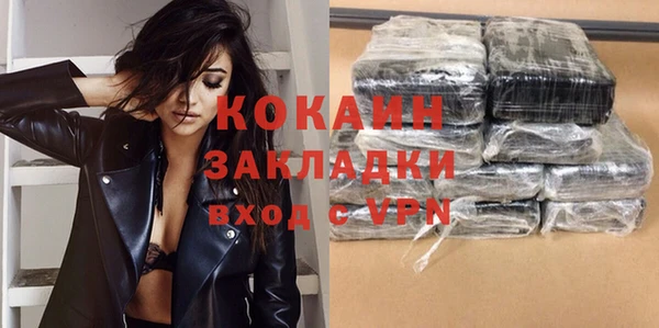 индика Козельск