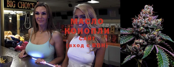индика Козельск