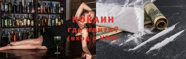 индика Козловка