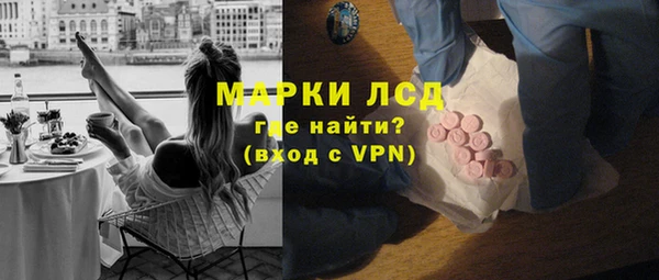 индика Козельск