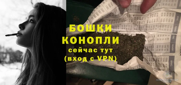 индика Козловка