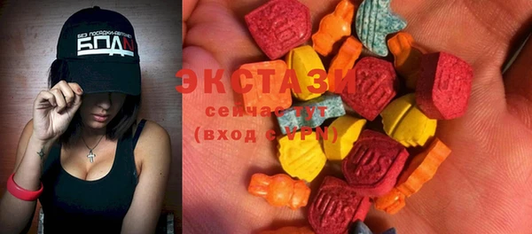 индика Козловка